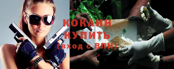 прущие грибы Бородино