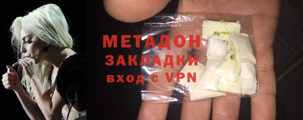 прущие грибы Бородино