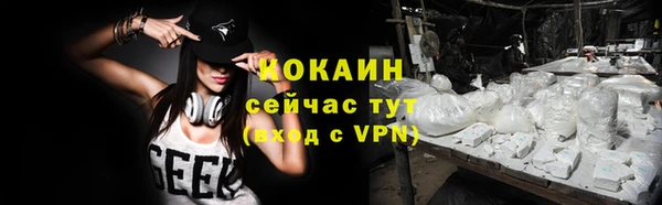 прущие грибы Бородино