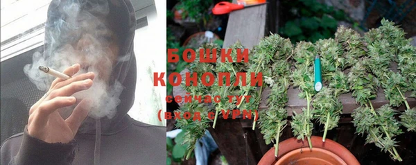 крисы Бугульма