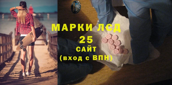 прущие грибы Бородино