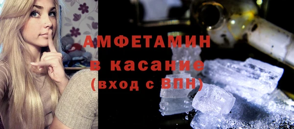 прущие грибы Бородино