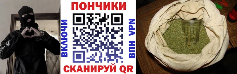 купить наркотик  Купино  Канабис сатива 
